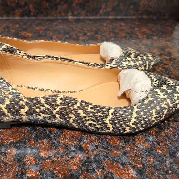 Coach Flats Snake Print - Picture 4 of 7